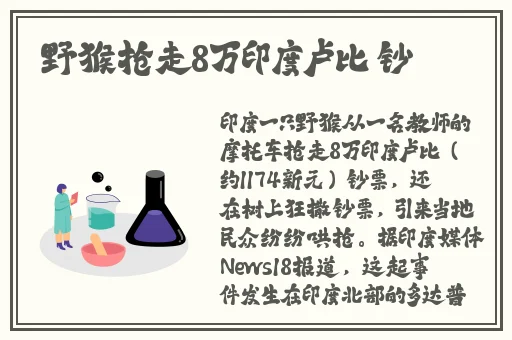 王熙凤平儿贾宝玉轿中大战